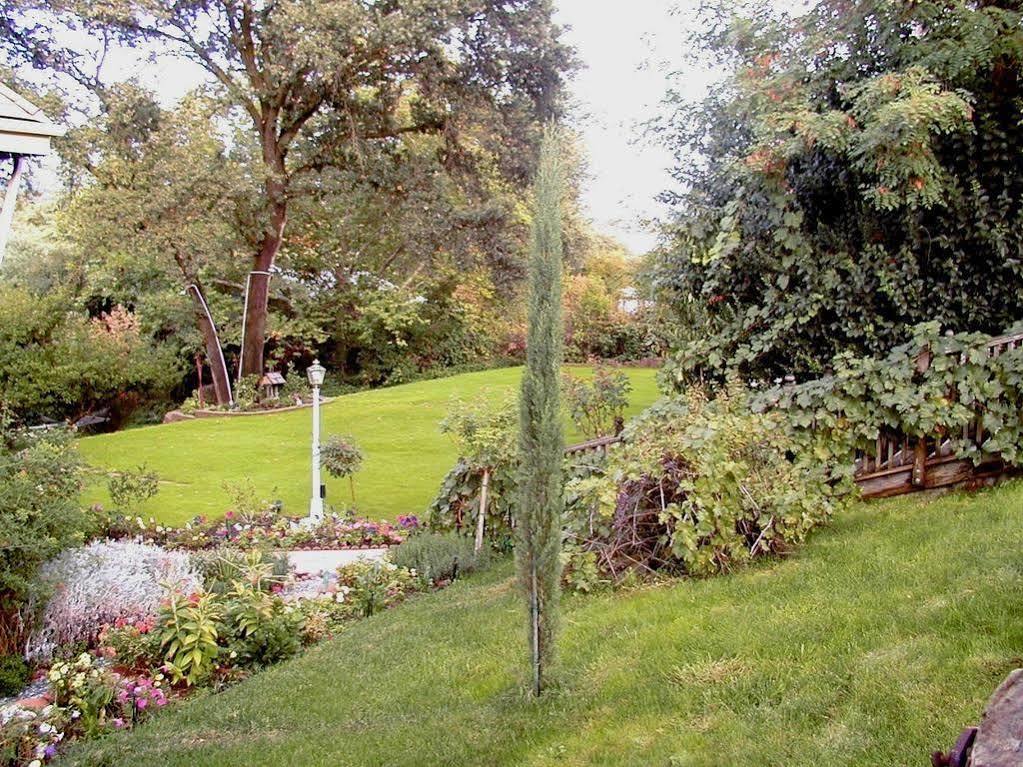 Robin'S Nest Bed & Breakfast San Andreas Bagian luar foto